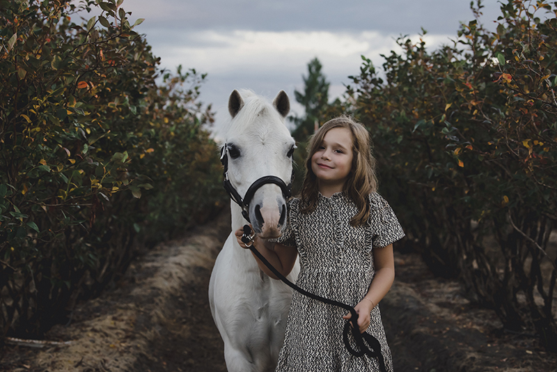 girl and her pony in a blueberry field, equine